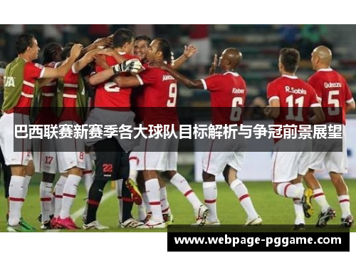 巴西联赛新赛季各大球队目标解析与争冠前景展望