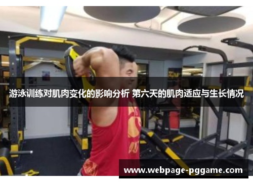 游泳训练对肌肉变化的影响分析 第六天的肌肉适应与生长情况