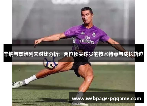 辛纳与兹维列夫对比分析：两位顶尖球员的技术特点与成长轨迹