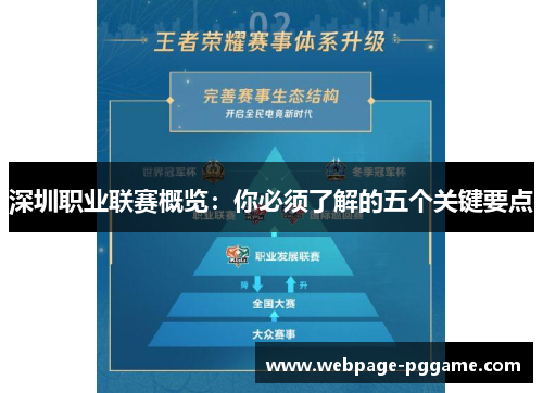 深圳职业联赛概览：你必须了解的五个关键要点