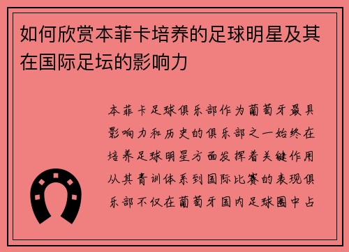 如何欣赏本菲卡培养的足球明星及其在国际足坛的影响力