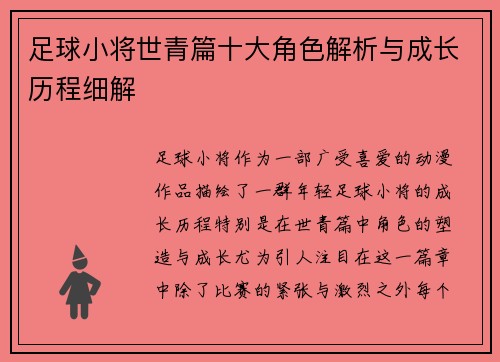 足球小将世青篇十大角色解析与成长历程细解