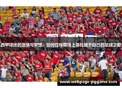 西甲球迷的激情与梦想：如何在绿茵场上寻找属于自己的足球之爱
