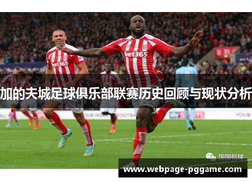 加的夫城足球俱乐部联赛历史回顾与现状分析