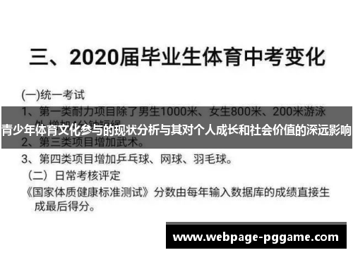 青少年体育文化参与的现状分析与其对个人成长和社会价值的深远影响