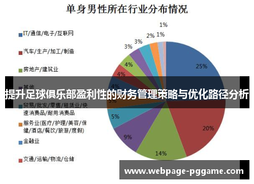 提升足球俱乐部盈利性的财务管理策略与优化路径分析