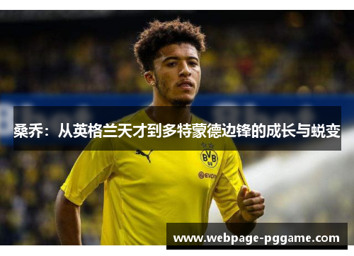 桑乔:从英格兰天才到多特蒙德边锋的成长与蜕变 桑乔:从英格兰天才到多特蒙德边锋的成长与蜕变